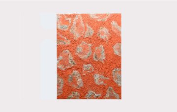 Highly Commended: Soosie Jobson, 'Pindan Spinifex'